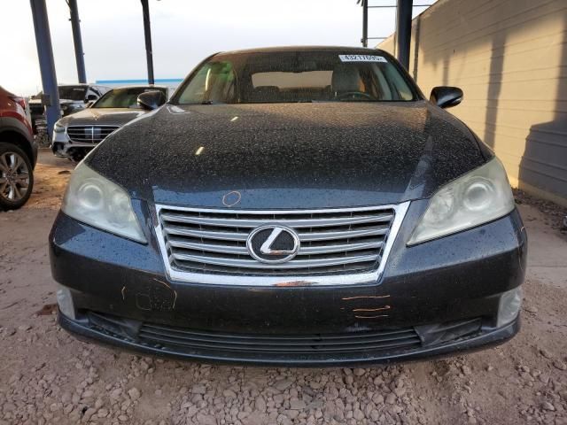 2010 Lexus ES 350