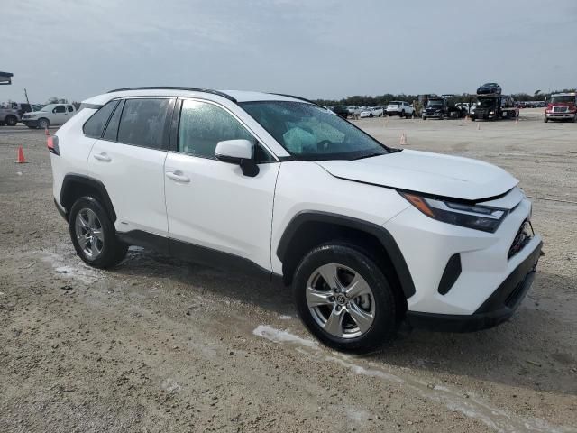 2024 Toyota Rav4 XLE