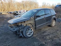 Salvage cars for sale at Baltimore, MD auction: 2019 Ford Escape SE