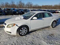 Salvage cars for sale at Walton, KY auction: 2010 Chevrolet Malibu 1LT