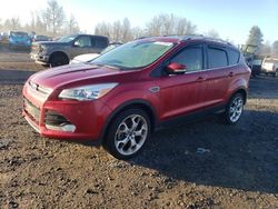 Salvage cars for sale at Portland, OR auction: 2016 Ford Escape Titanium