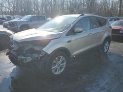 Salvage cars for sale at Glassboro, NJ auction: 2018 Ford Escape SEL