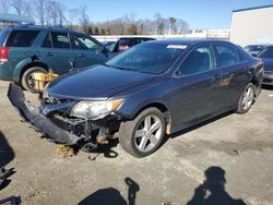 Salvage cars for sale at Spartanburg, SC auction: 2013 Toyota Camry L