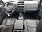 2009 Ford Escape Limited