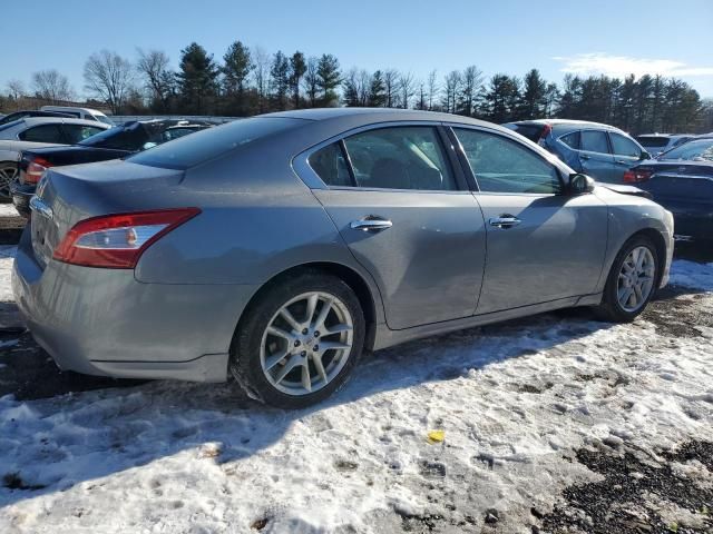 2009 Nissan Maxima S