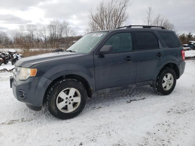 2009 Ford Escape XLT