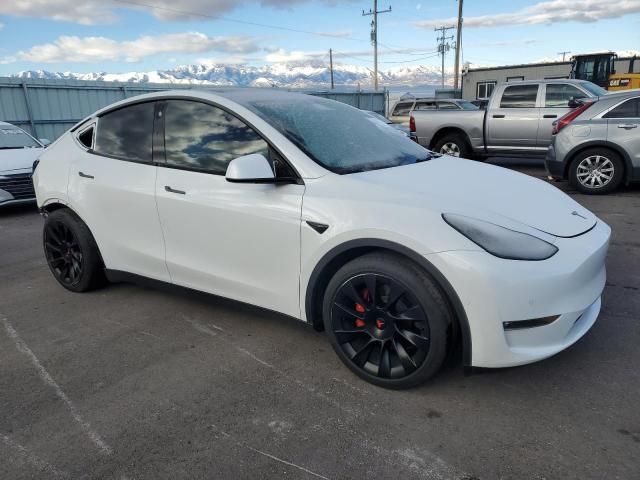 2021 Tesla Model Y