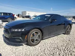 Salvage cars for sale at Temple, TX auction: 2024 Ford Mustang