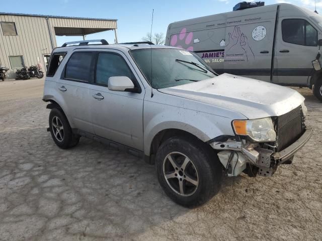 2009 Ford Escape Limited