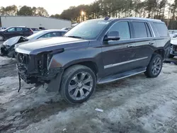 Carros con verificación Run & Drive a la venta en subasta: 2016 Cadillac Escalade Luxury