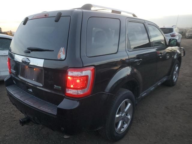 2011 Ford Escape Limited