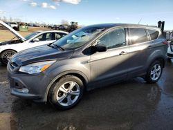 Salvage cars for sale from Copart Cleveland: 2014 Ford Escape SE