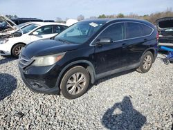 Salvage cars for sale at Byron, GA auction: 2014 Honda CR-V EXL