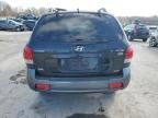 2005 Hyundai Santa FE GLS