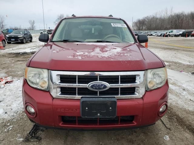 2008 Ford Escape XLT