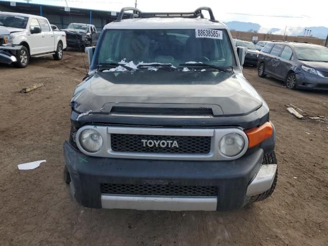 2011 Toyota FJ Cruiser