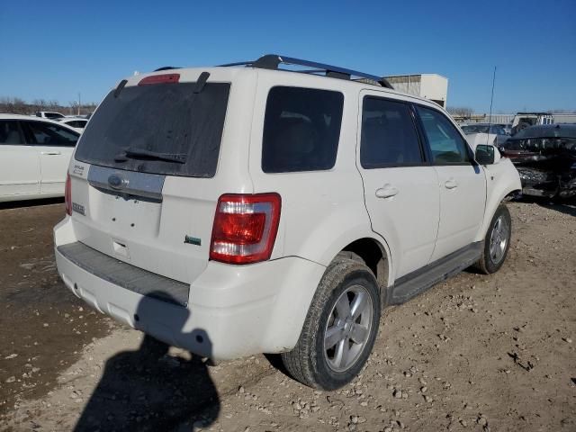 2011 Ford Escape Limited