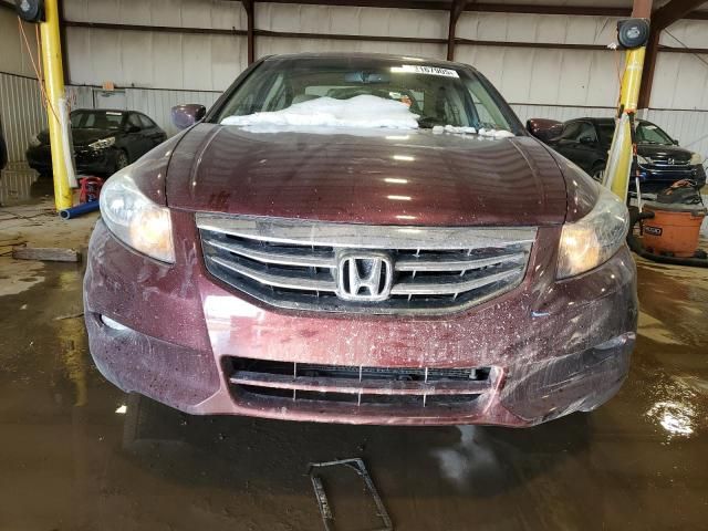 2011 Honda Accord EXL