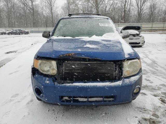 2008 Ford Escape XLT