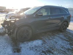 Salvage cars for sale from Copart Nisku, AB: 2018 KIA Sorento LX