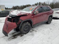 Salvage cars for sale at Cookstown, ON auction: 2021 Toyota Rav4 XLE