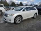 2009 Toyota Venza