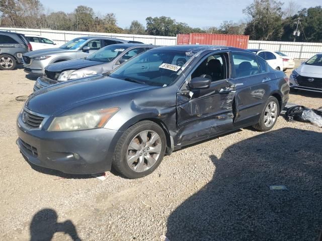 2008 Honda Accord EXL