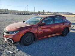 Salvage cars for sale at auction: 2020 Honda Civic LX