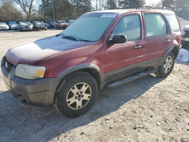 2003 Ford Escape XLS