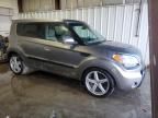 2010 KIA Soul +