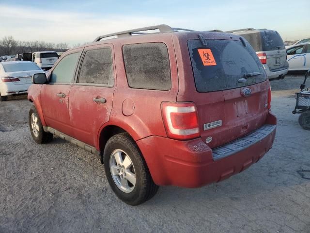 2012 Ford Escape XLT