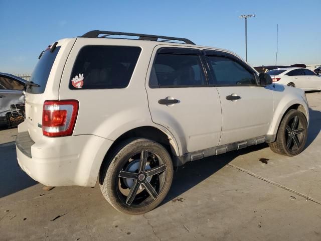 2010 Ford Escape XLT