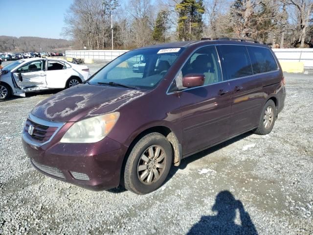 2008 Honda Odyssey EXL