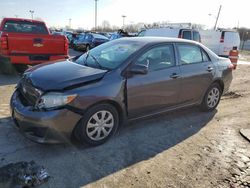 Toyota salvage cars for sale: 2010 Toyota Corolla Base