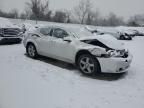 2010 Dodge Avenger R/T