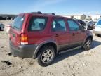 2003 Ford Escape XLS