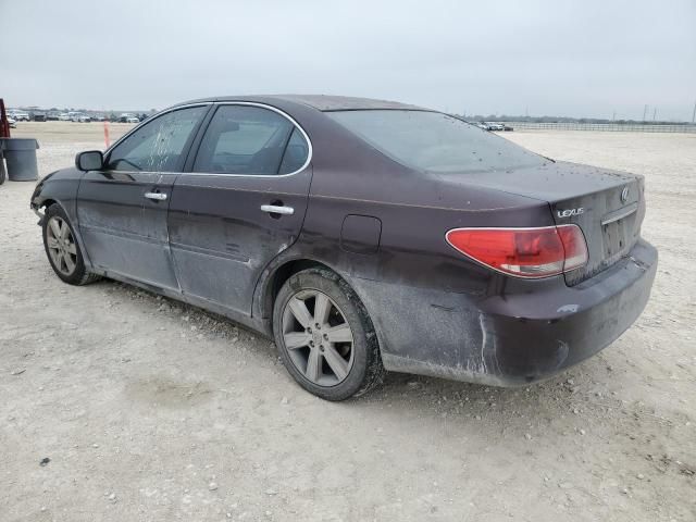 2005 Lexus ES 330