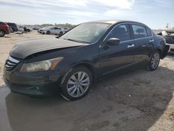 Salvage cars for sale at West Palm Beach, FL auction: 2011 Honda Accord EXL