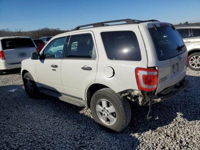 2009 Ford Escape XLT