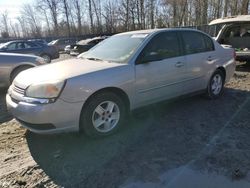 Carros con verificación Run & Drive a la venta en subasta: 2004 Chevrolet Malibu LS