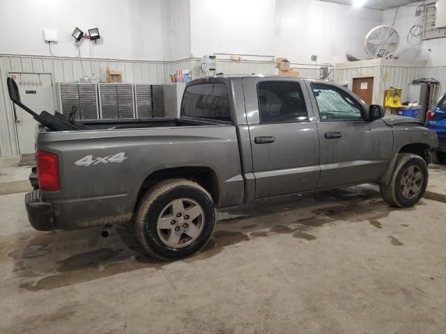 2005 Dodge Dakota Quad SLT