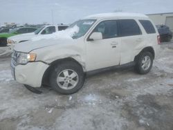 Salvage cars for sale at Kansas City, KS auction: 2011 Ford Escape Limited