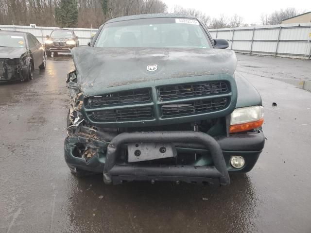 2000 Dodge Dakota