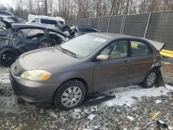 Toyota Corolla ce salvage cars for sale: 2004 Toyota Corolla CE