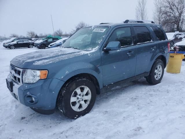 2011 Ford Escape Limited