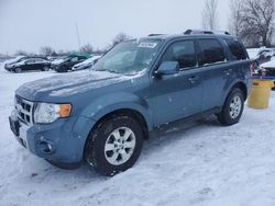 Salvage cars for sale from Copart Ontario Auction, ON: 2011 Ford Escape Limited