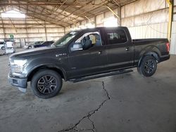 Salvage cars for sale from Copart Phoenix, AZ: 2015 Ford F150 Supercrew