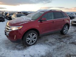 Ford Vehiculos salvage en venta: 2013 Ford Edge Limited