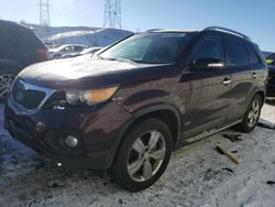 Run And Drives Cars for sale at auction: 2012 KIA Sorento EX