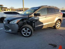 Ford Escape salvage cars for sale: 2013 Ford Escape SE